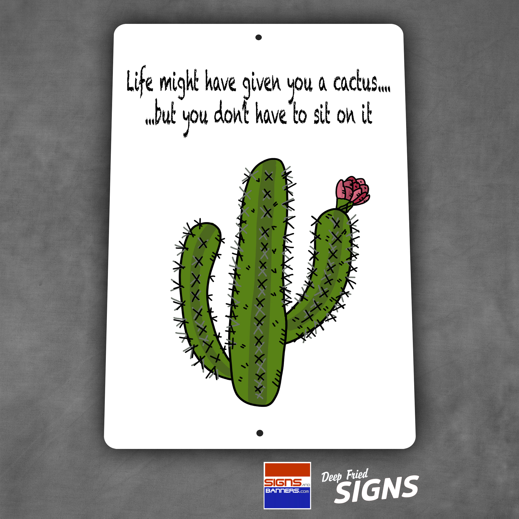 Cactus to Sit On
